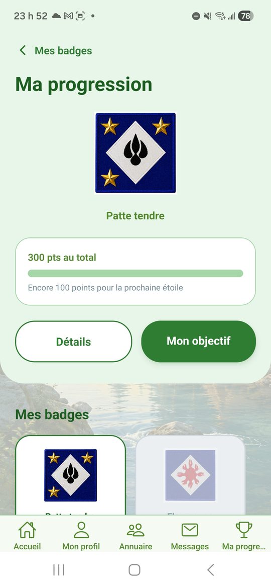 Ma progression : le badge en cours, les étoiles gagnées et la barre vers la prochaine étoile